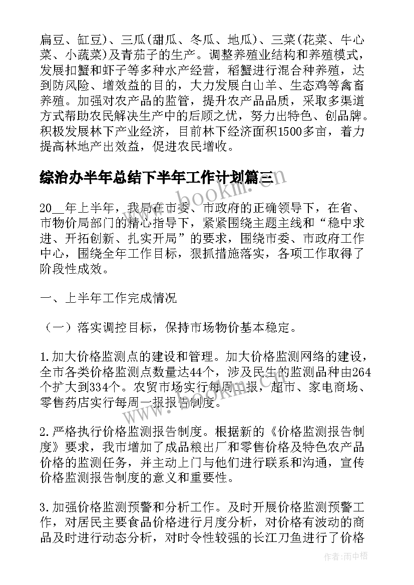 最新综治办半年总结下半年工作计划(大全6篇)