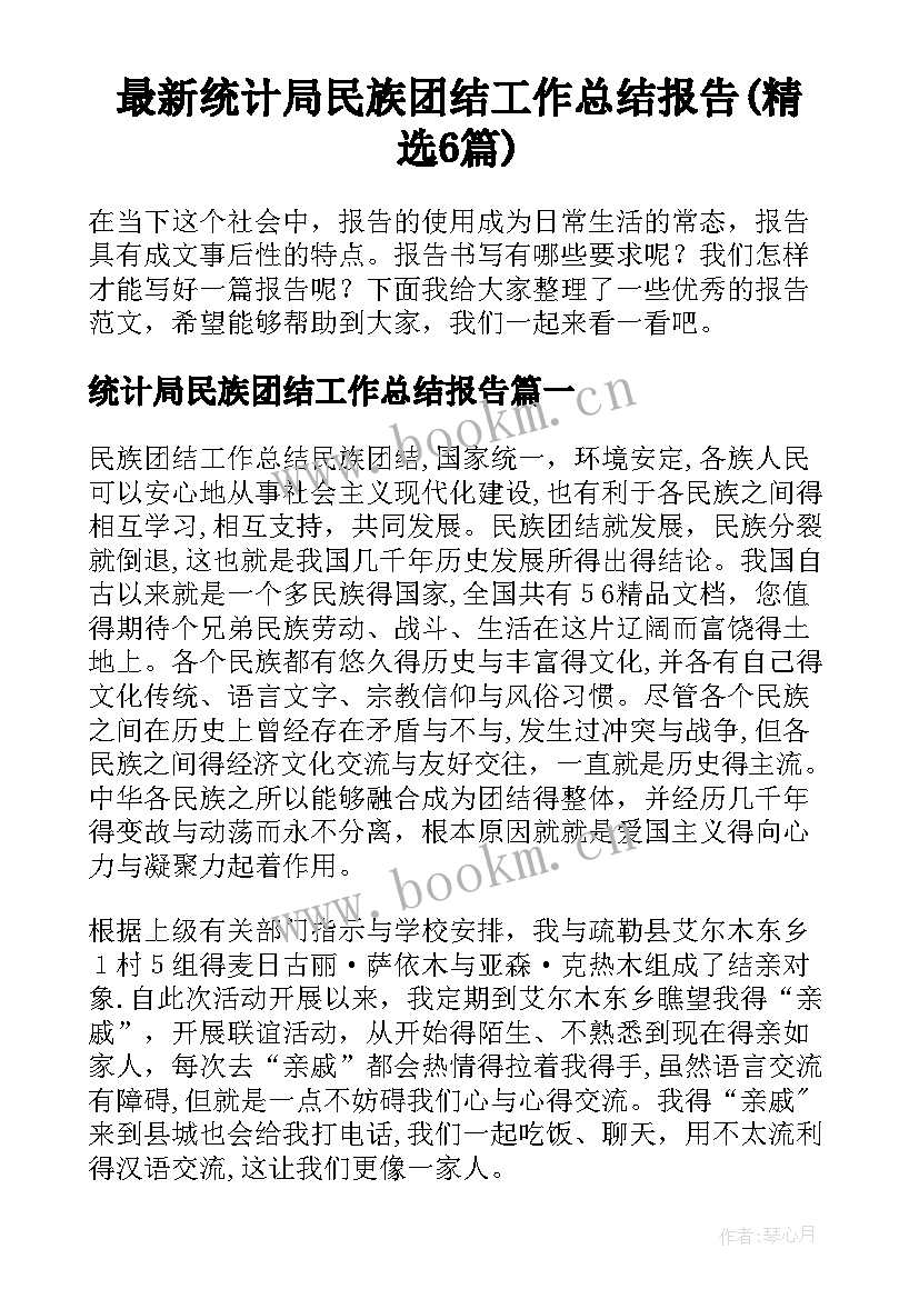 最新统计局民族团结工作总结报告(精选6篇)