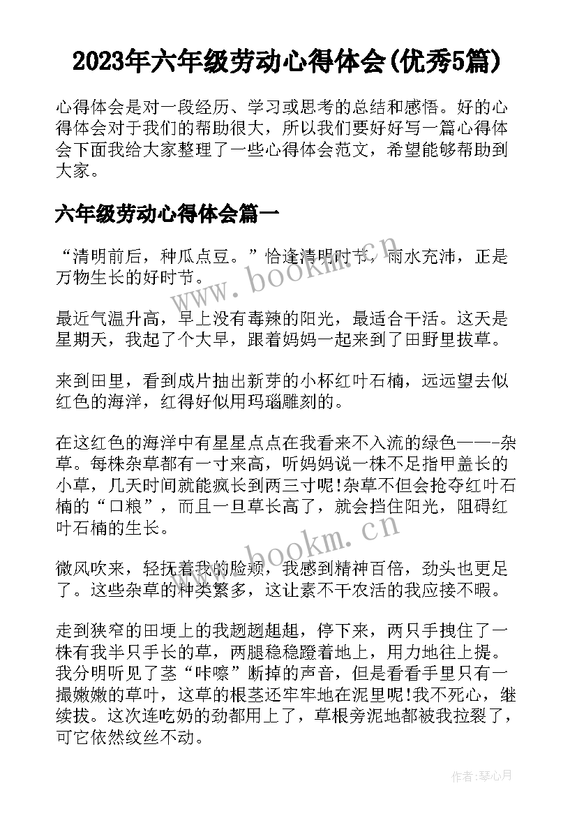 2023年六年级劳动心得体会(优秀5篇)