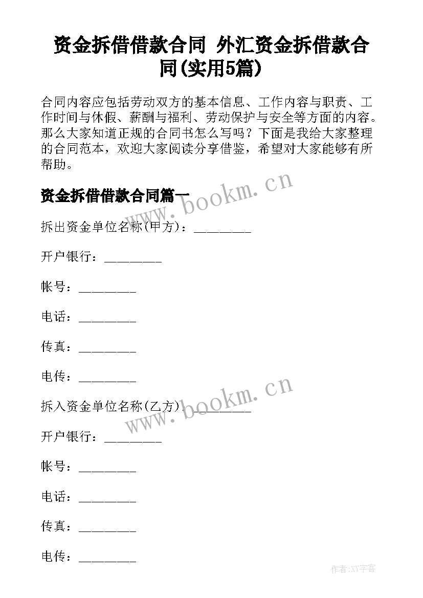 资金拆借借款合同 外汇资金拆借款合同(实用5篇)