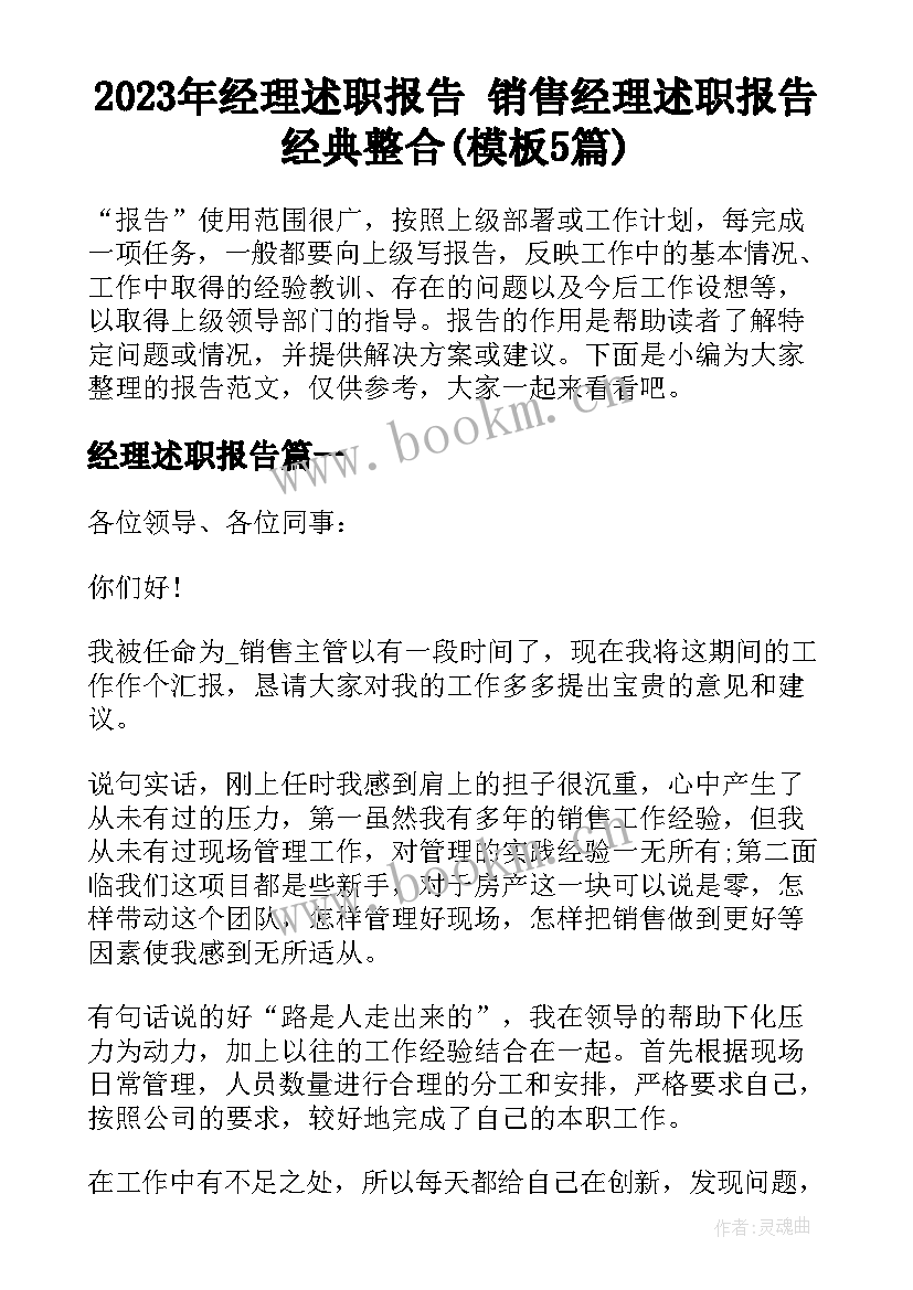 2023年经理述职报告 销售经理述职报告经典整合(模板5篇)