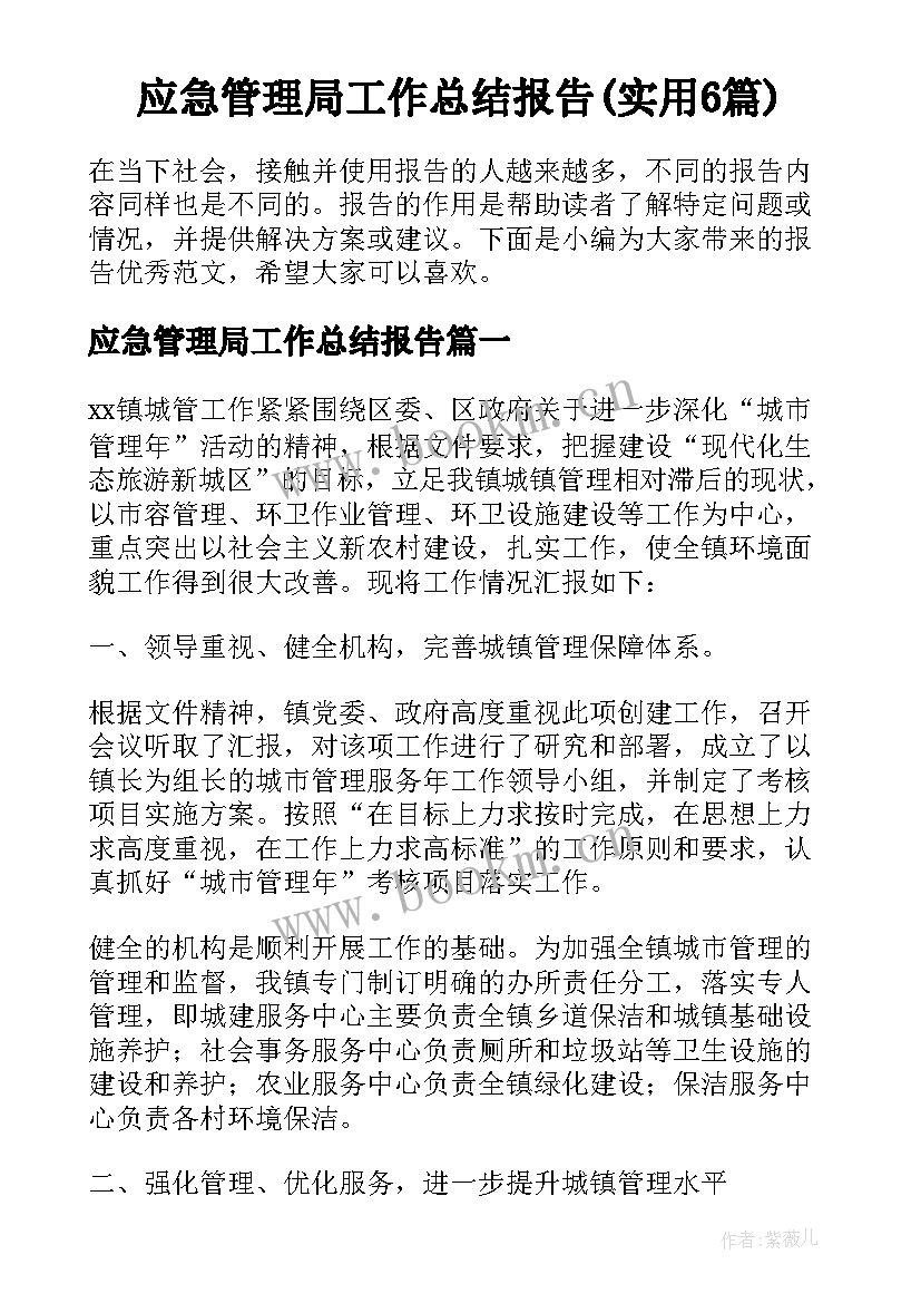 应急管理局工作总结报告(实用6篇)