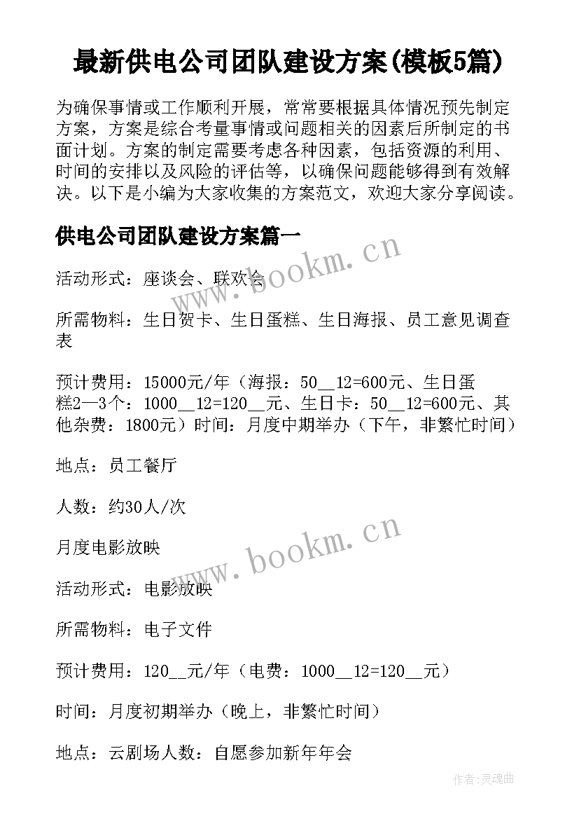 最新供电公司团队建设方案(模板5篇)