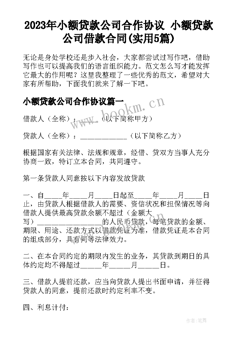 2023年小额贷款公司合作协议 小额贷款公司借款合同(实用5篇)