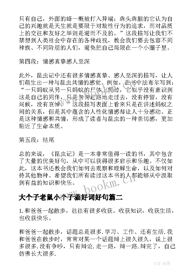 大个子老鼠小个子猫好词好句 昆虫记的好词好句心得体会(汇总7篇)