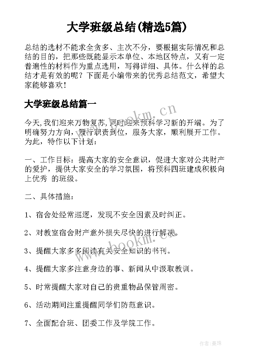 大学班级总结(精选5篇)