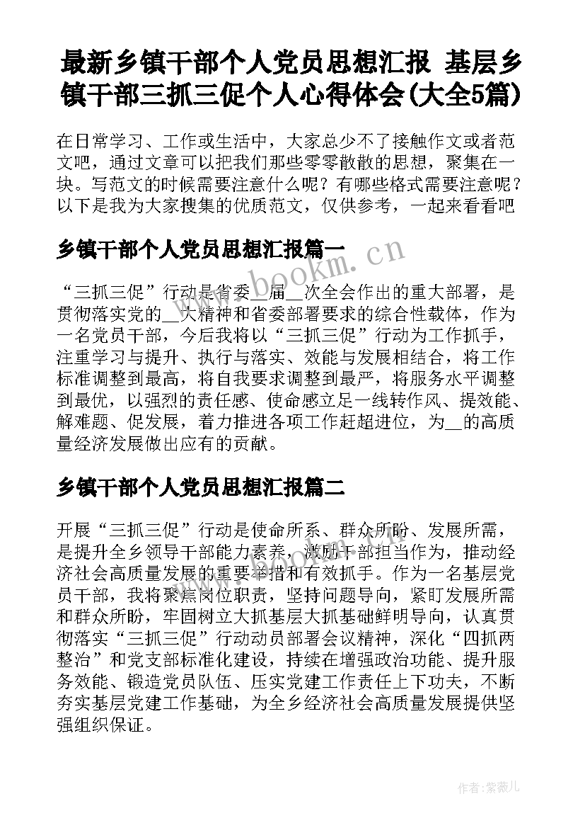 最新乡镇干部个人党员思想汇报 基层乡镇干部三抓三促个人心得体会(大全5篇)