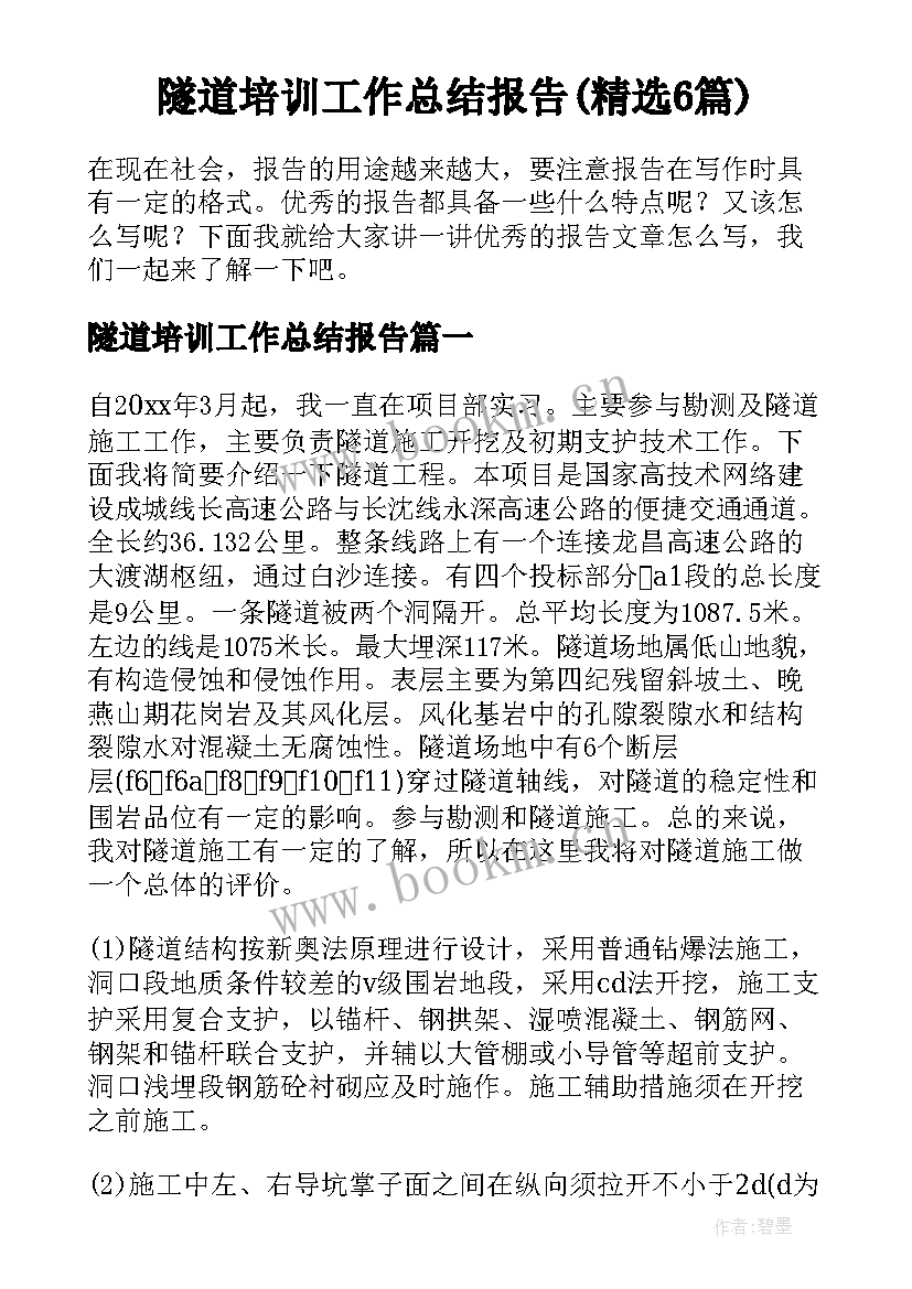 隧道培训工作总结报告(精选6篇)