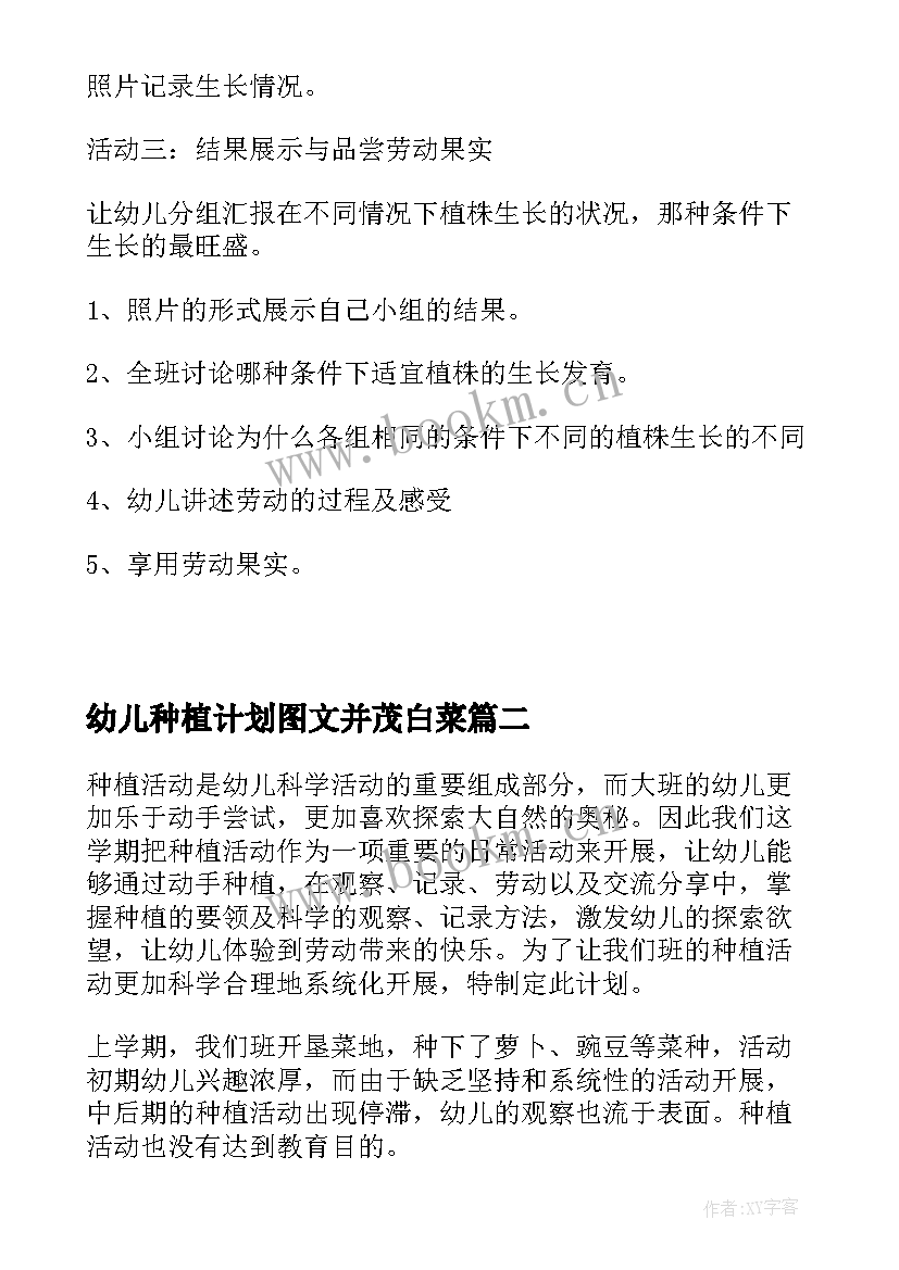 幼儿种植计划图文并茂白菜 幼儿园大班种植活动计划(优秀5篇)