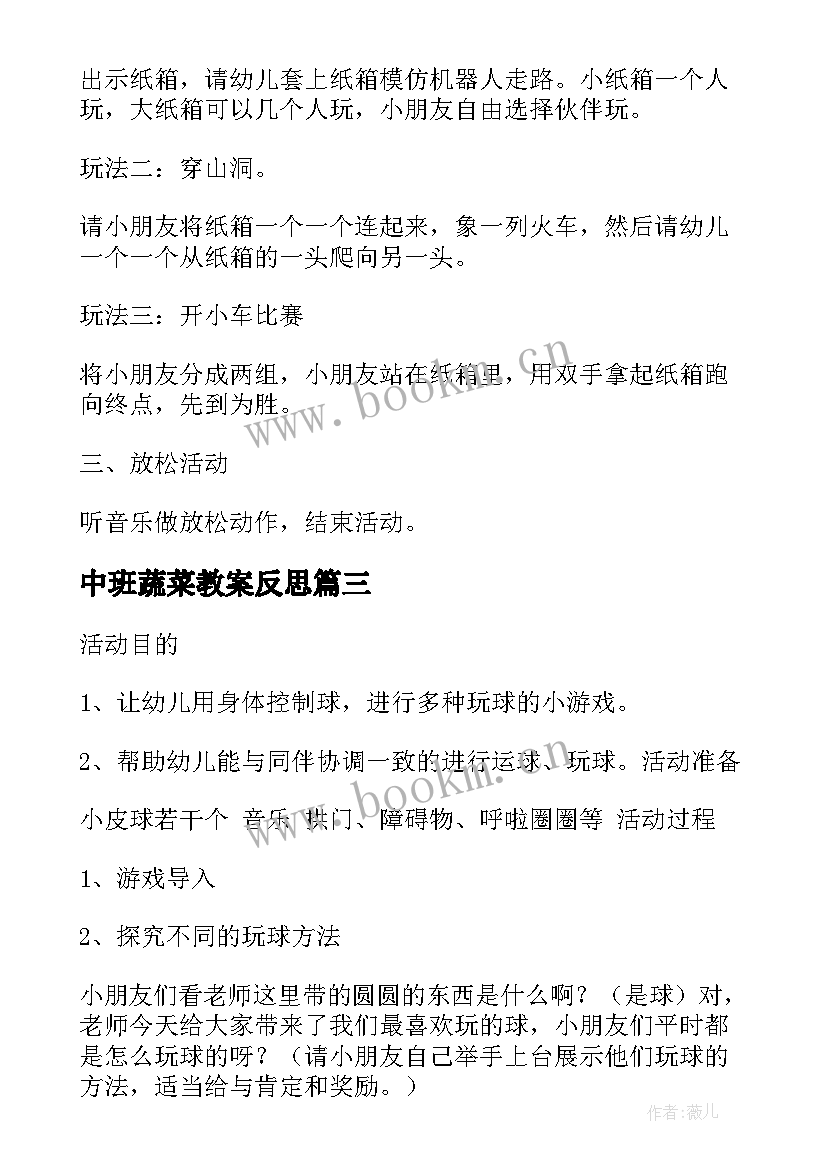 2023年中班蔬菜教案反思(精选5篇)