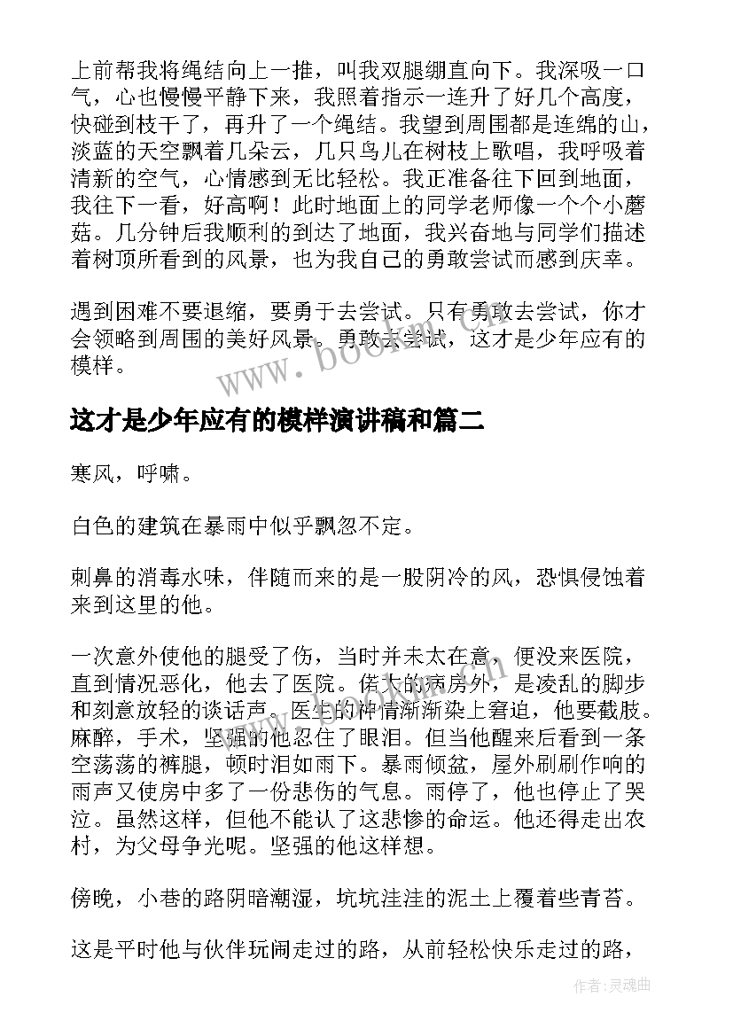 2023年这才是少年应有的模样演讲稿和(大全5篇)