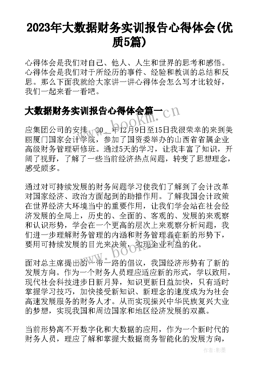 2023年大数据财务实训报告心得体会(优质5篇)