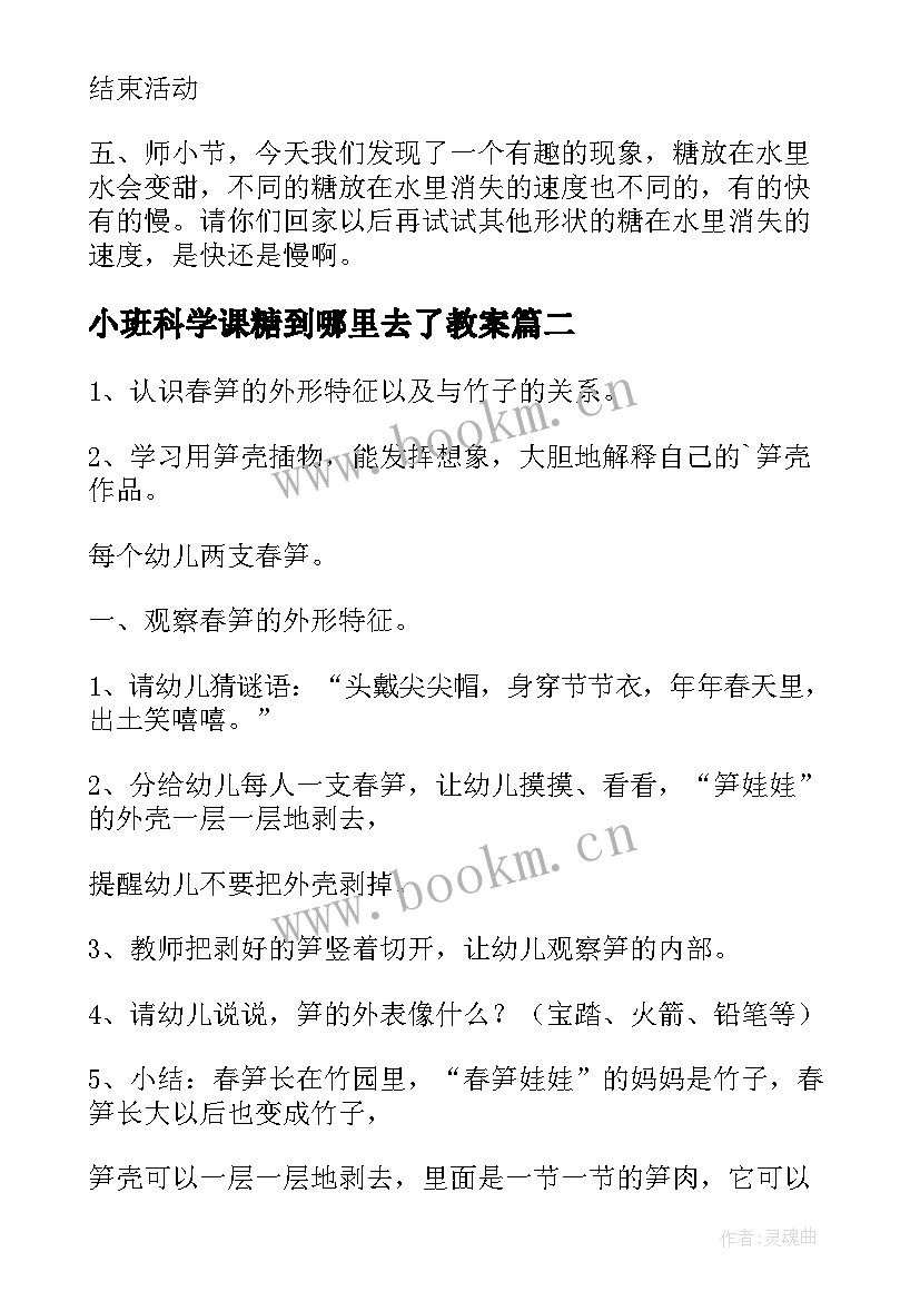 小班科学课糖到哪里去了教案 小班科学教案(优秀6篇)