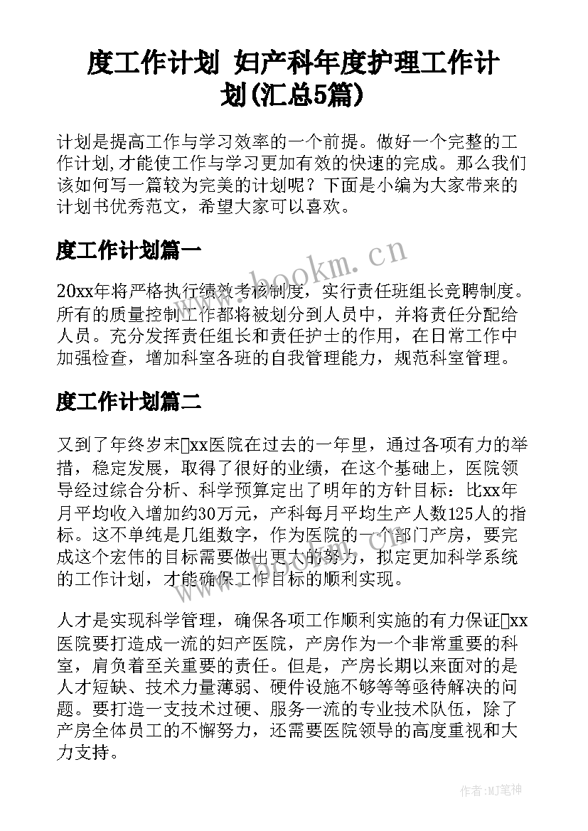 度工作计划 妇产科年度护理工作计划(汇总5篇)