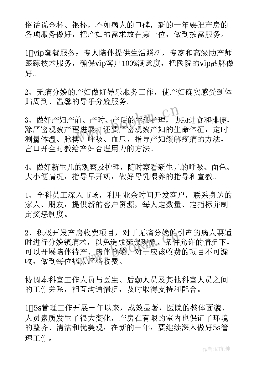 度工作计划 妇产科年度护理工作计划(汇总5篇)