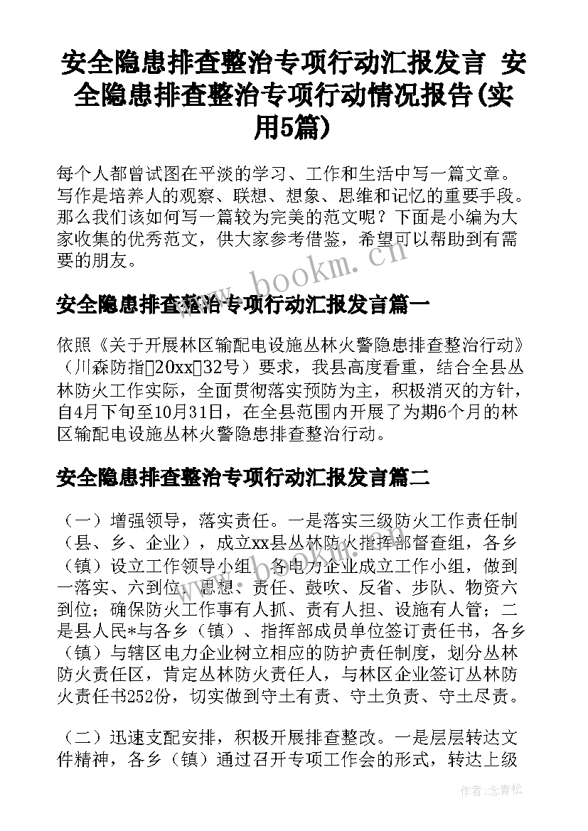 安全隐患排查整治专项行动汇报发言 安全隐患排查整治专项行动情况报告(实用5篇)