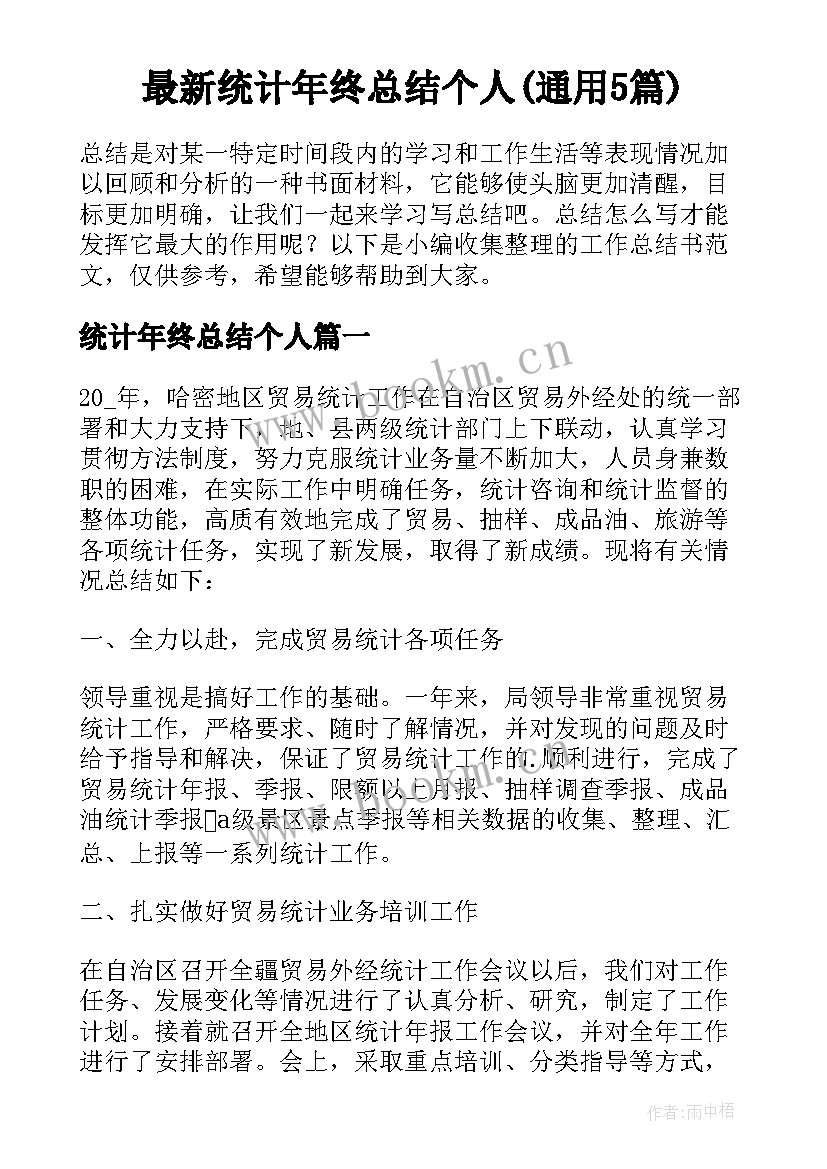 最新统计年终总结个人(通用5篇)