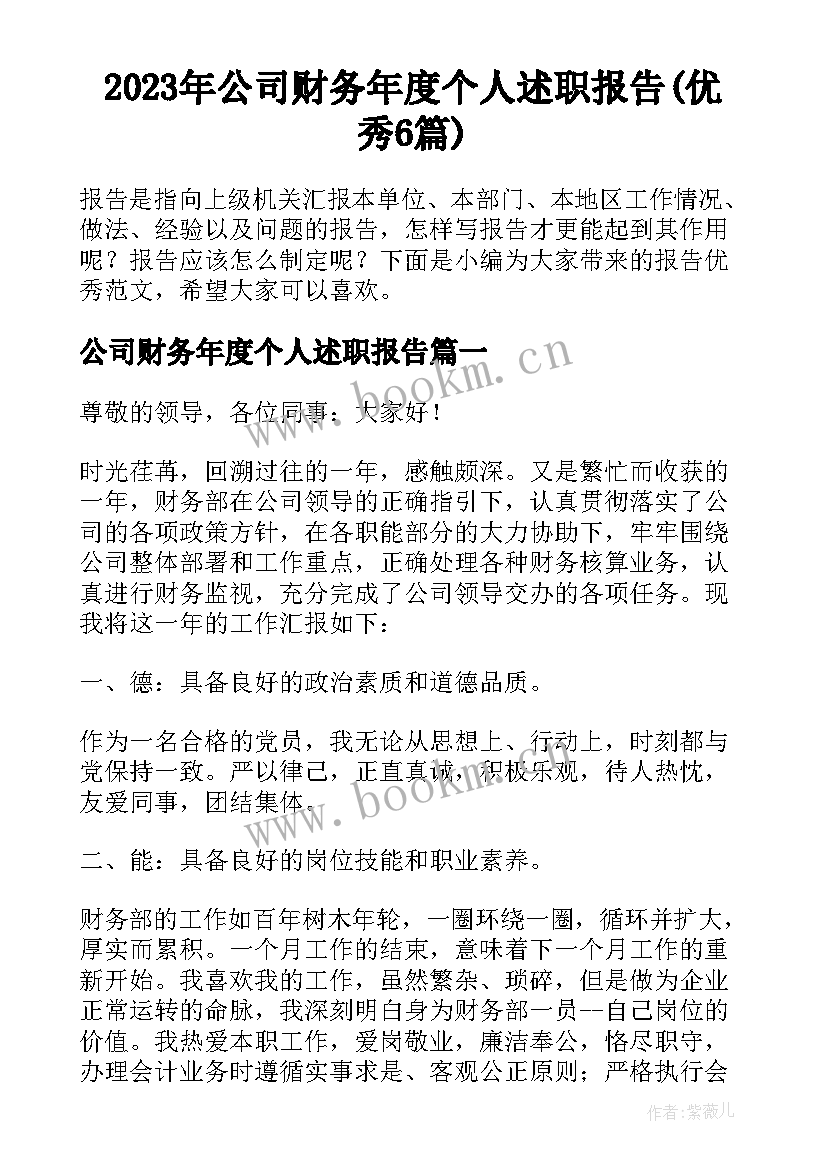 2023年公司财务年度个人述职报告(优秀6篇)