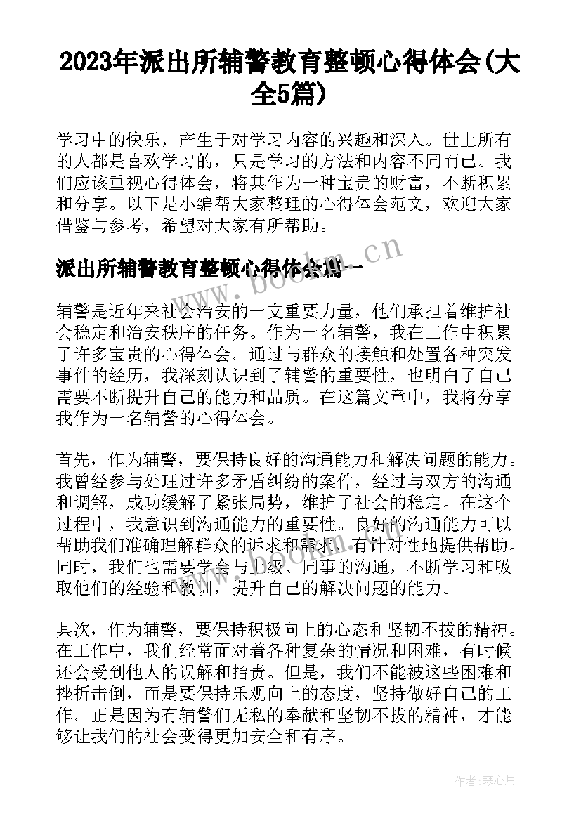 2023年派出所辅警教育整顿心得体会(大全5篇)