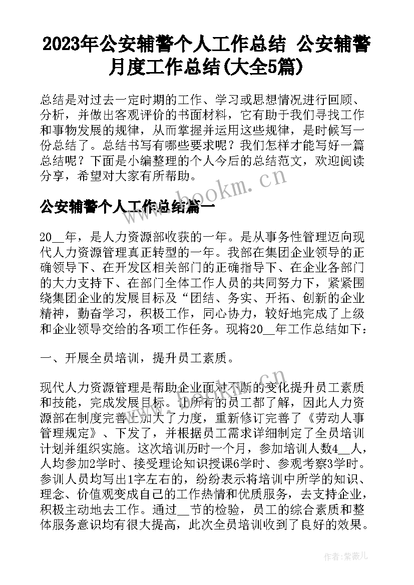 2023年公安辅警个人工作总结 公安辅警月度工作总结(大全5篇)