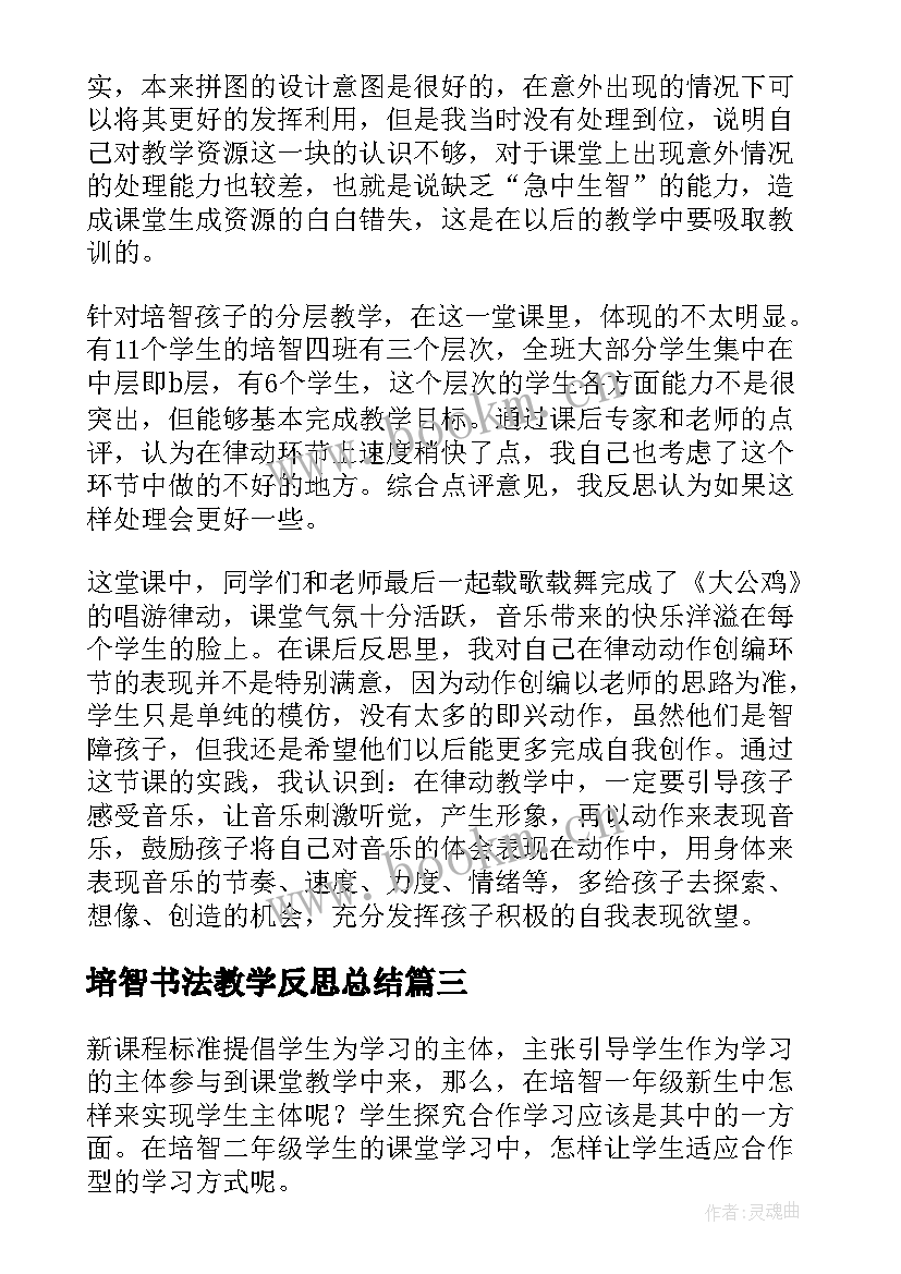 培智书法教学反思总结(模板5篇)