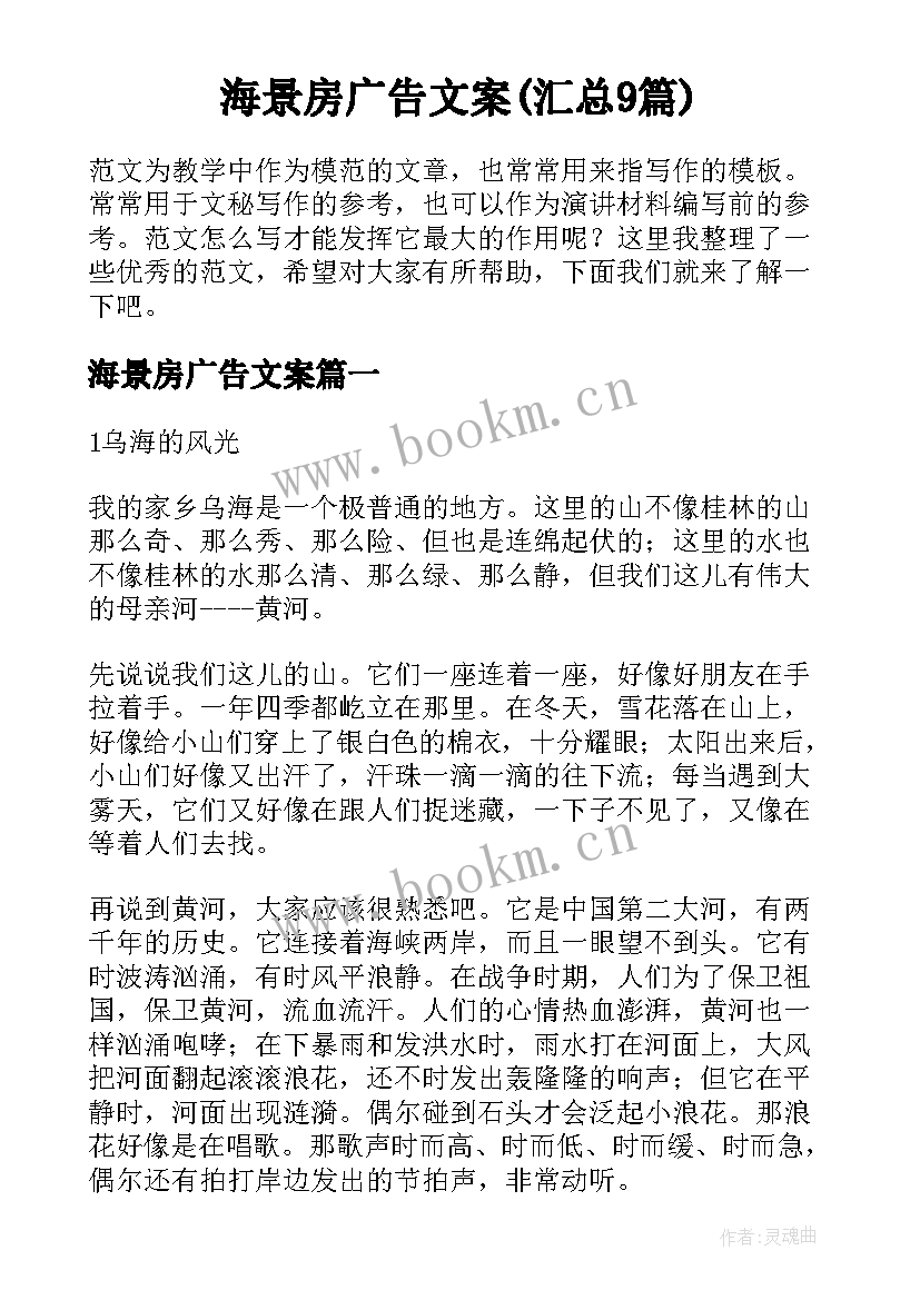 海景房广告文案(汇总9篇)