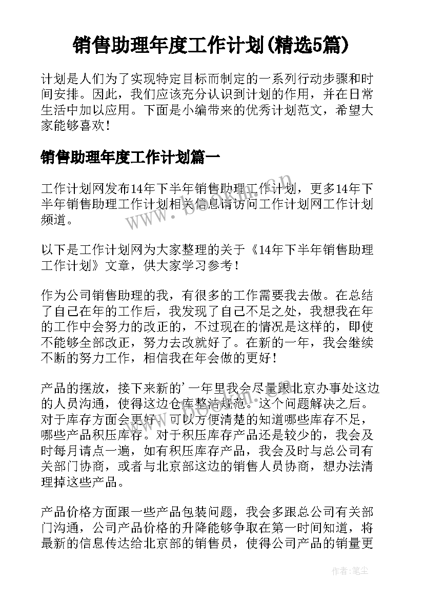 销售助理年度工作计划(精选5篇)