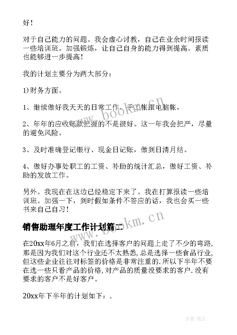 销售助理年度工作计划(精选5篇)