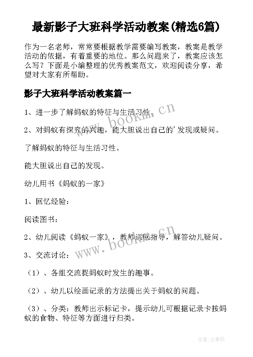 最新影子大班科学活动教案(精选6篇)