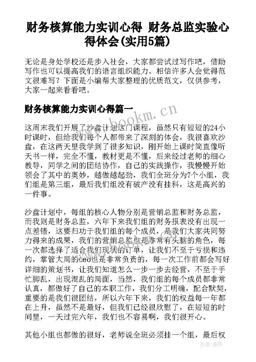 财务核算能力实训心得 财务总监实验心得体会(实用5篇)