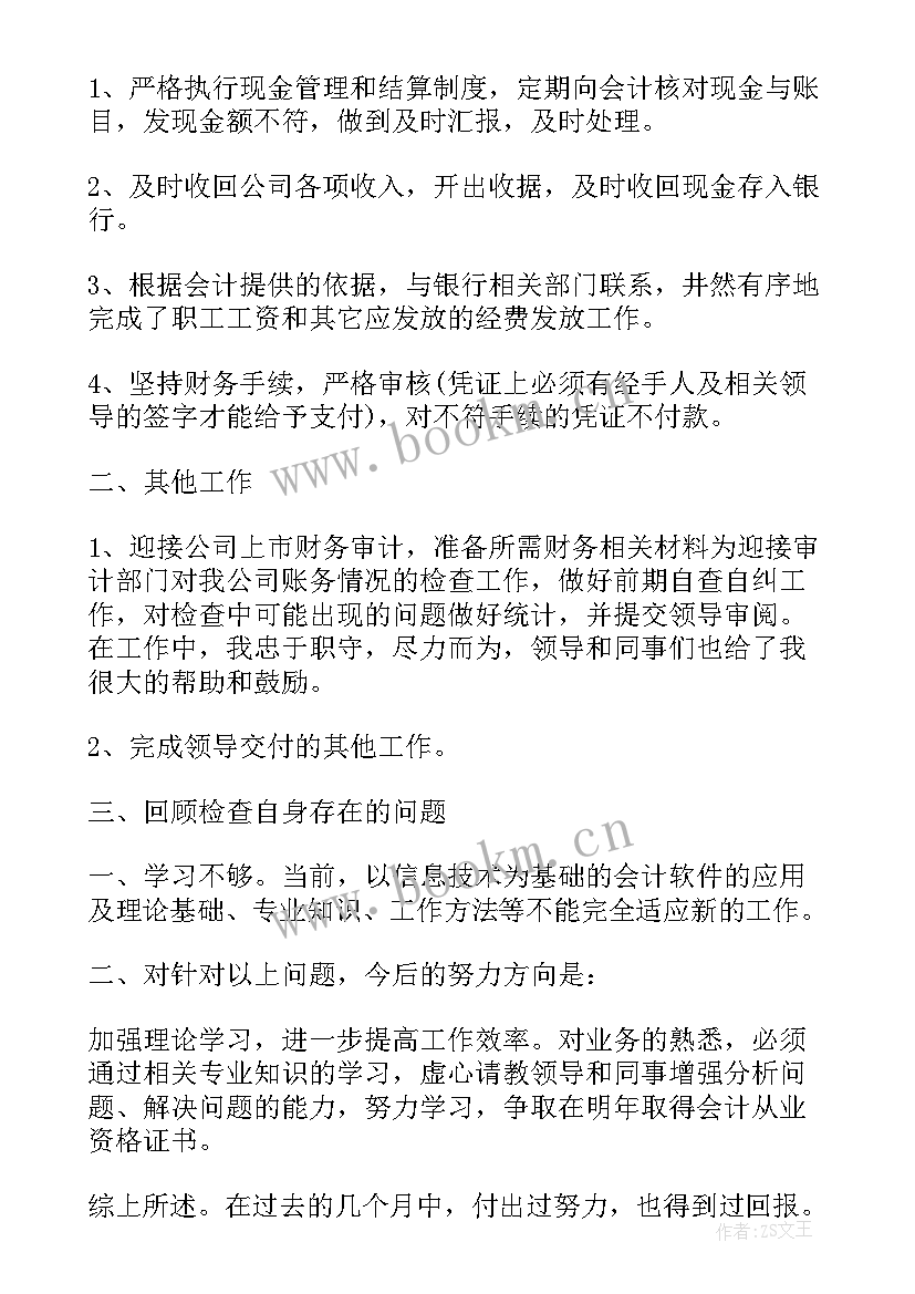 财务出纳工作总结及工作计划 财务出纳个人工作总结(模板10篇)