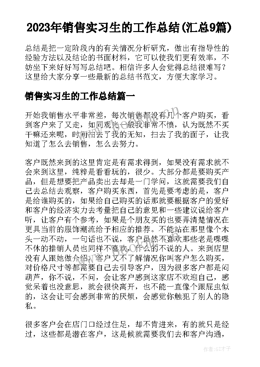 2023年销售实习生的工作总结(汇总9篇)