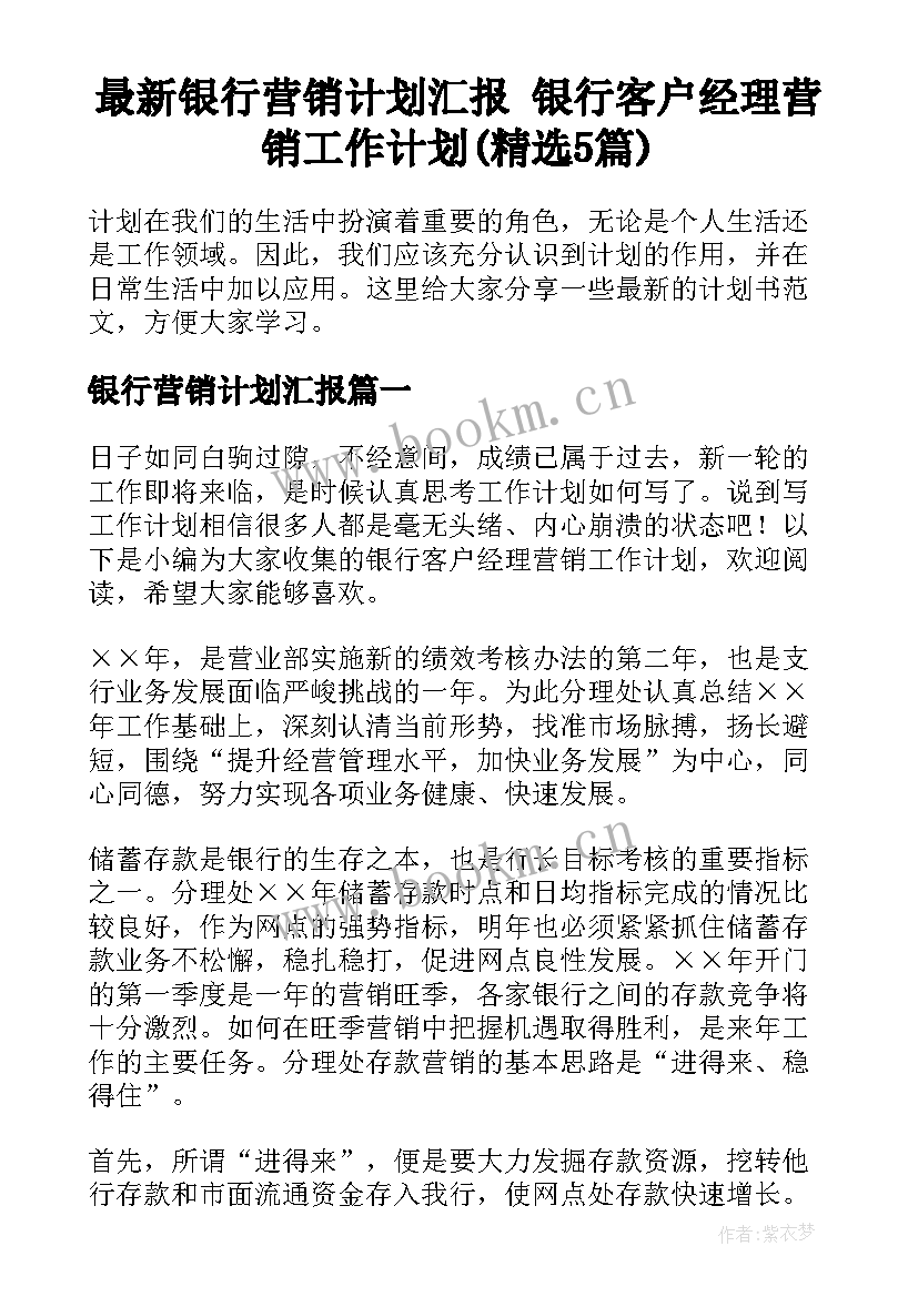 最新银行营销计划汇报 银行客户经理营销工作计划(精选5篇)