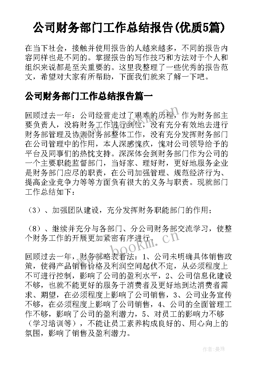 公司财务部门工作总结报告(优质5篇)