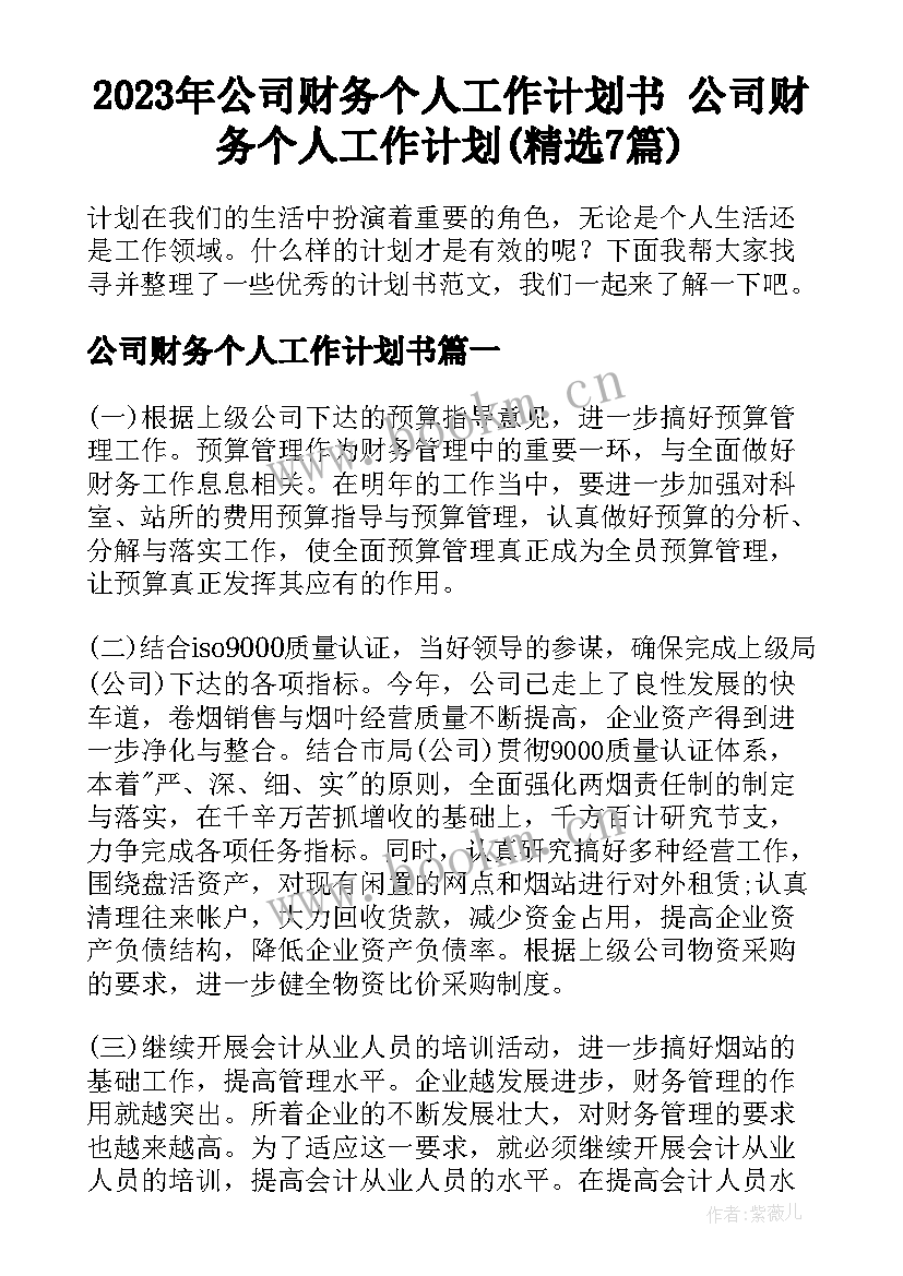 2023年公司财务个人工作计划书 公司财务个人工作计划(精选7篇)