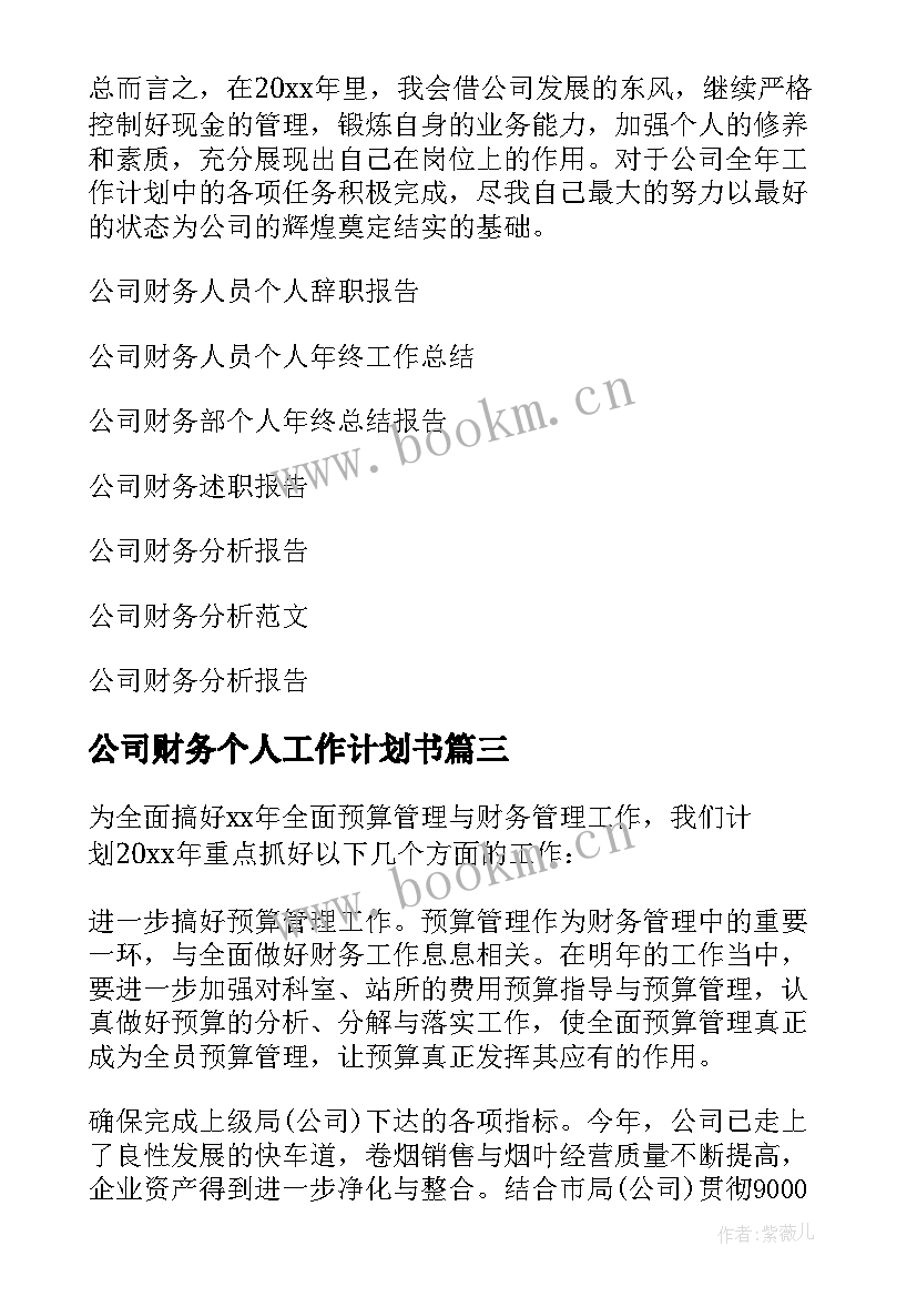 2023年公司财务个人工作计划书 公司财务个人工作计划(精选7篇)