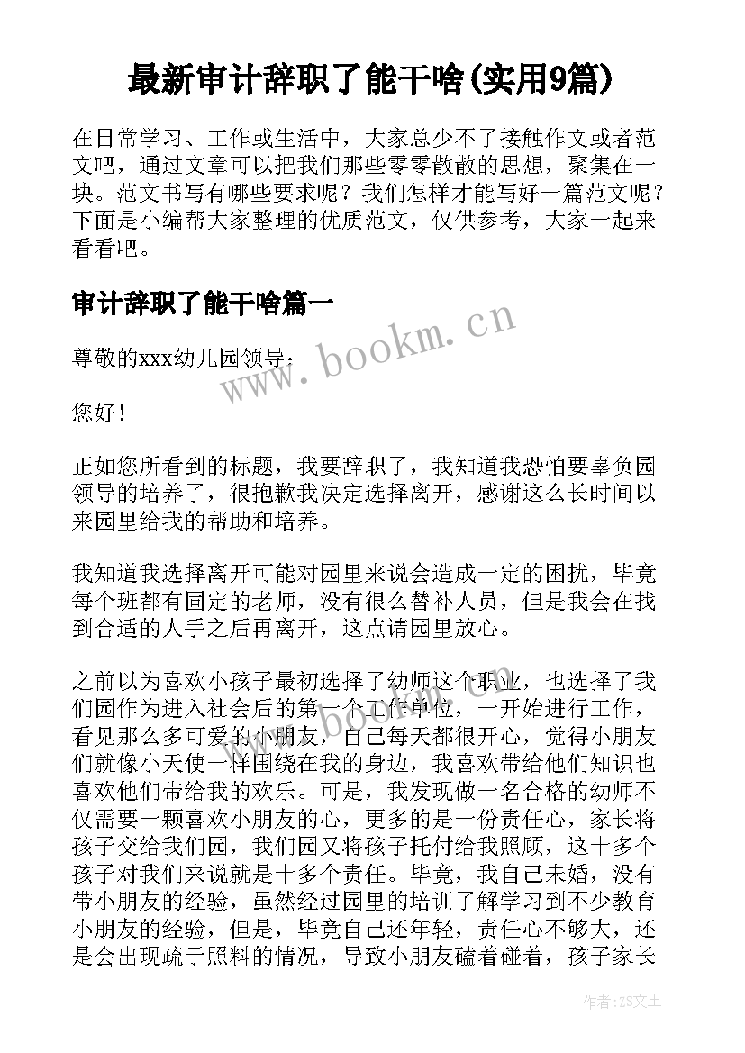 最新审计辞职了能干啥(实用9篇)