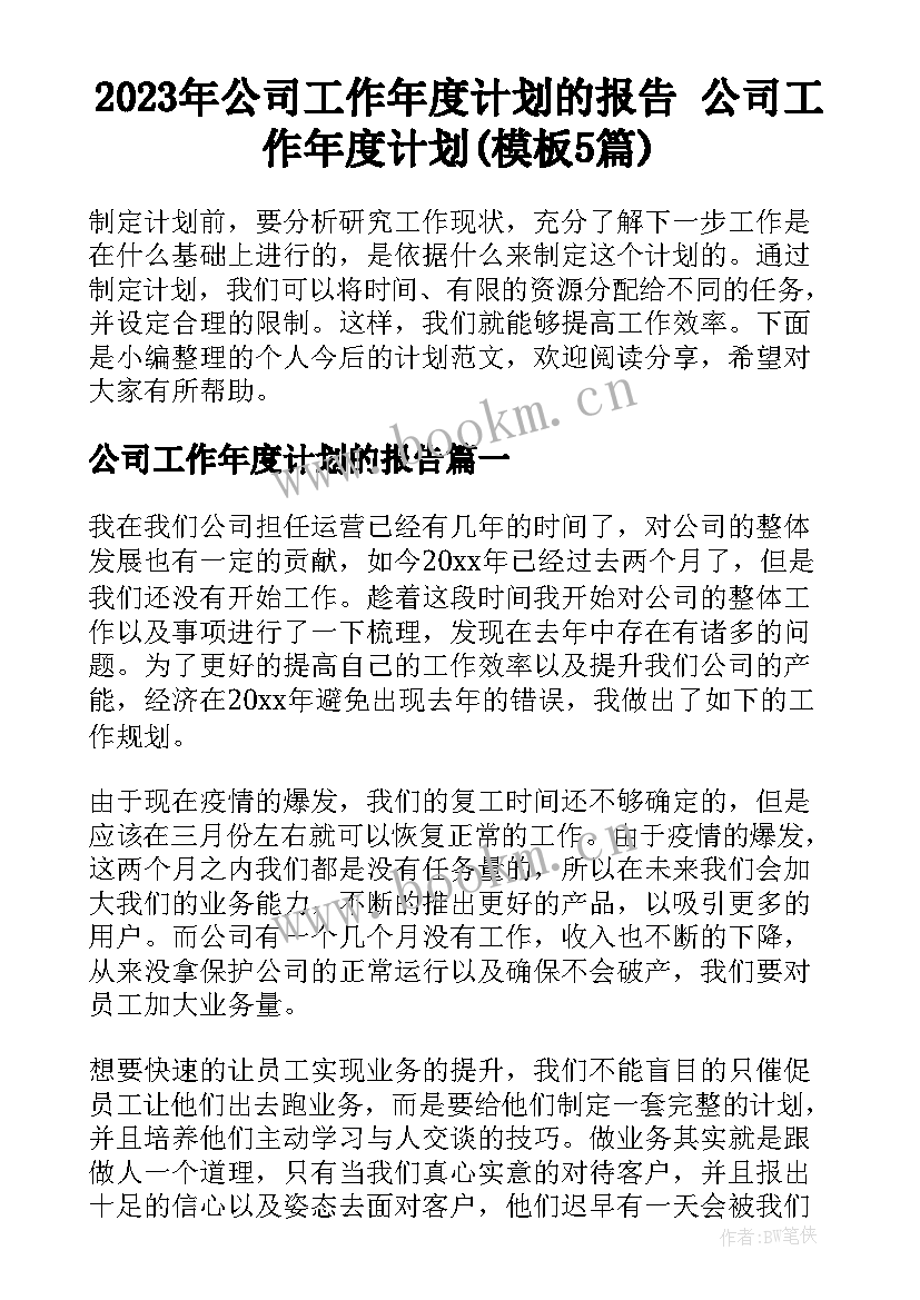 2023年公司工作年度计划的报告 公司工作年度计划(模板5篇)