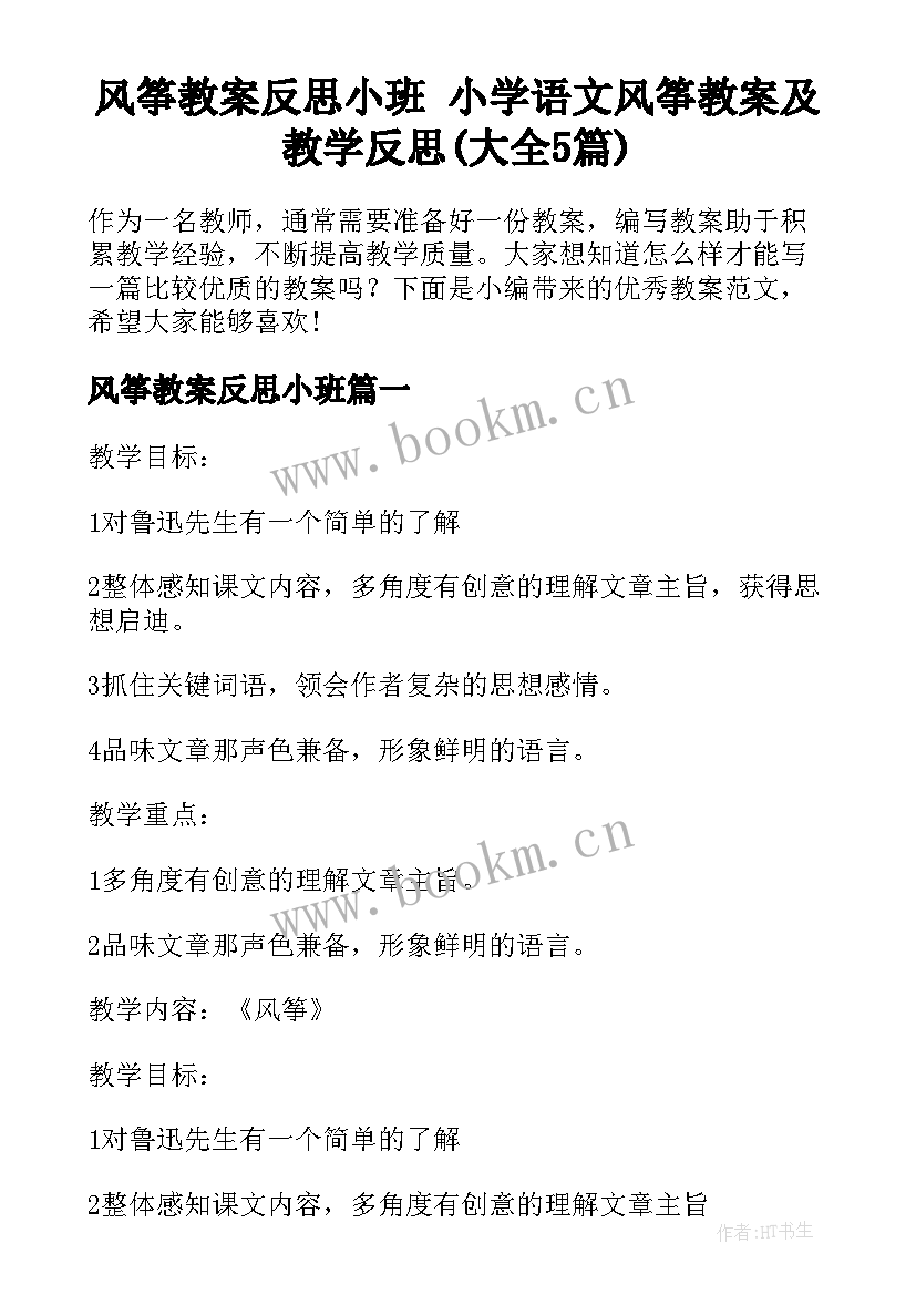 风筝教案反思小班 小学语文风筝教案及教学反思(大全5篇)