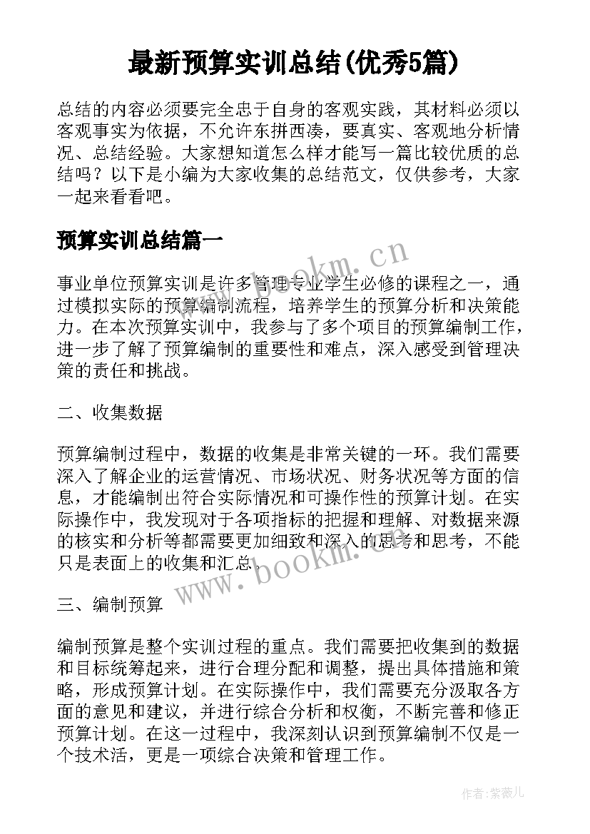 最新预算实训总结(优秀5篇)