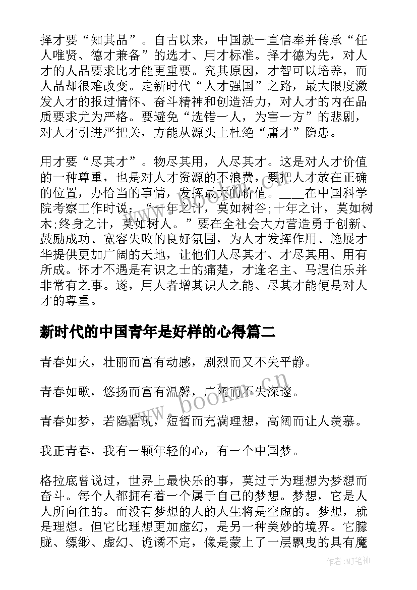 最新新时代的中国青年是好样的心得(模板5篇)