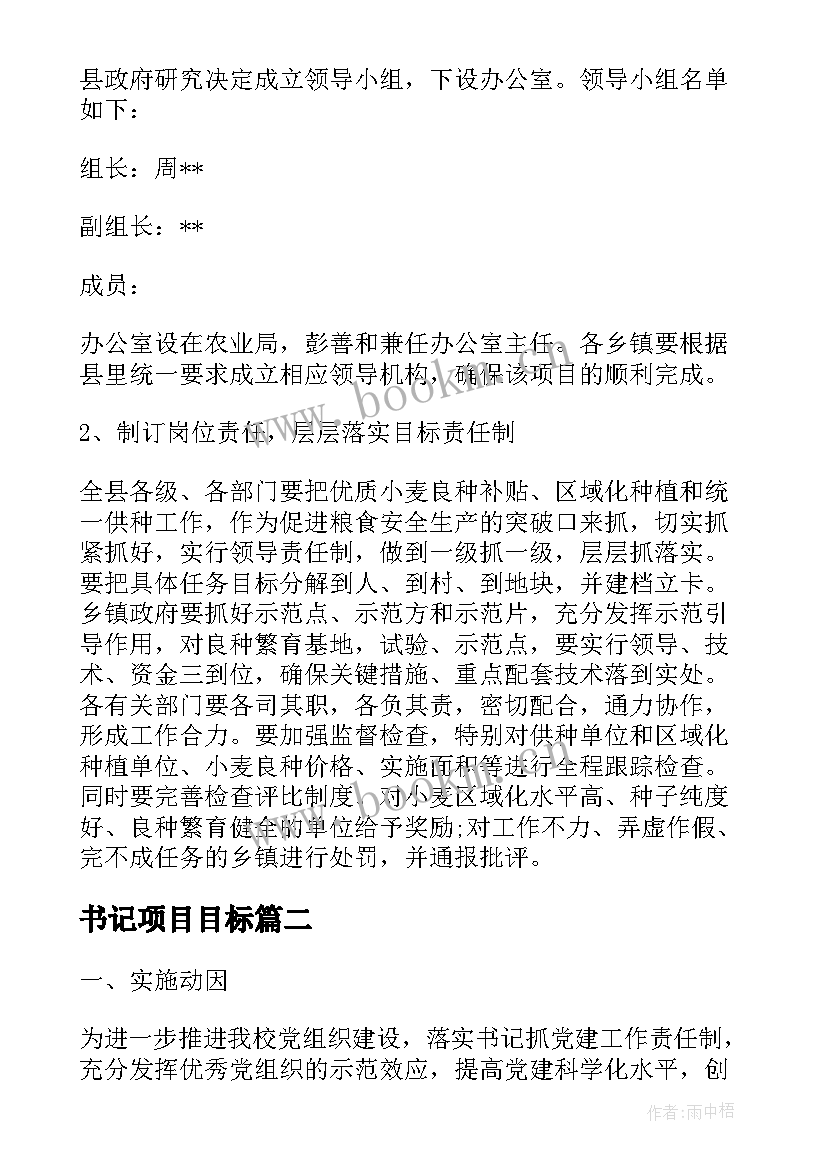 2023年书记项目目标 书记项目实施方案集合(优秀10篇)