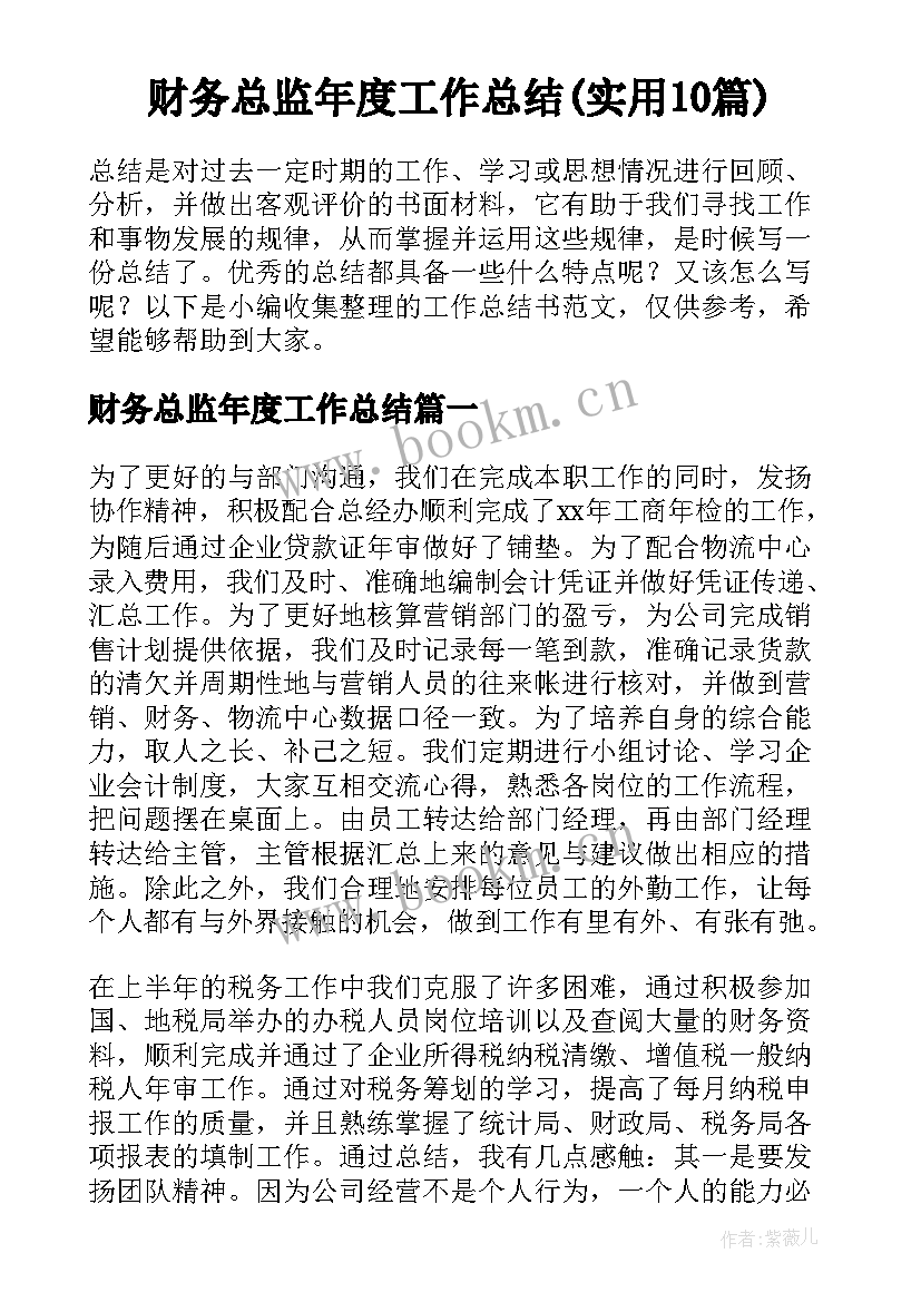 财务总监年度工作总结(实用10篇)