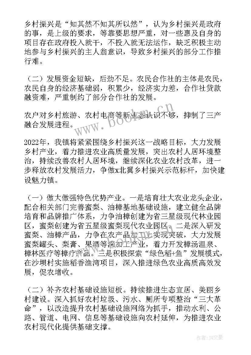 乡村振兴述职报告(通用5篇)