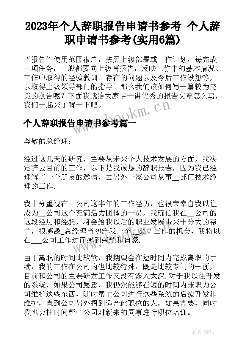 2023年个人辞职报告申请书参考 个人辞职申请书参考(实用6篇)