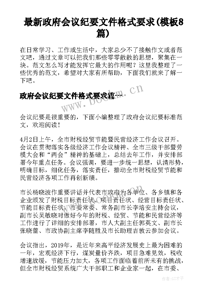 最新政府会议纪要文件格式要求(模板8篇)