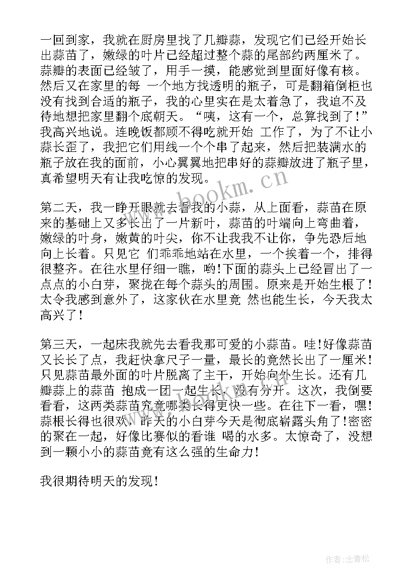 最新观察大蒜得到的启发和收获 种大蒜观察心得体会(优质5篇)