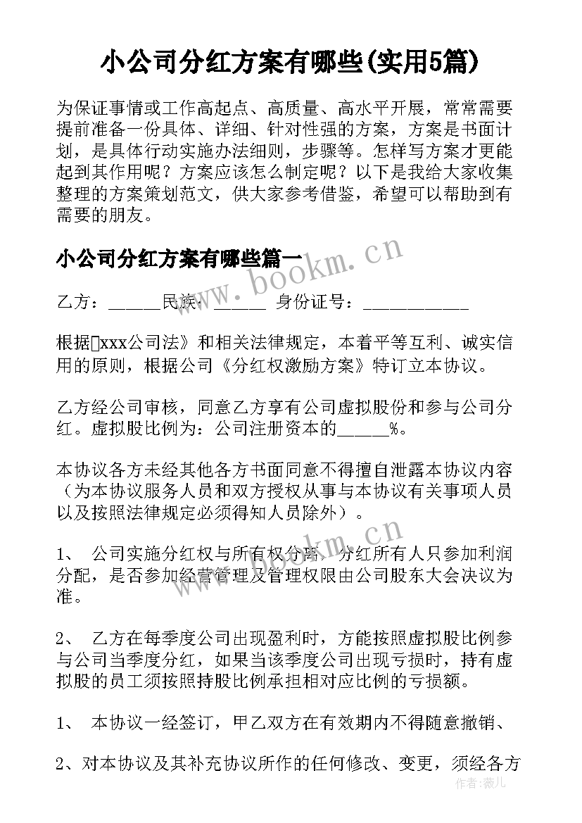 小公司分红方案有哪些(实用5篇)