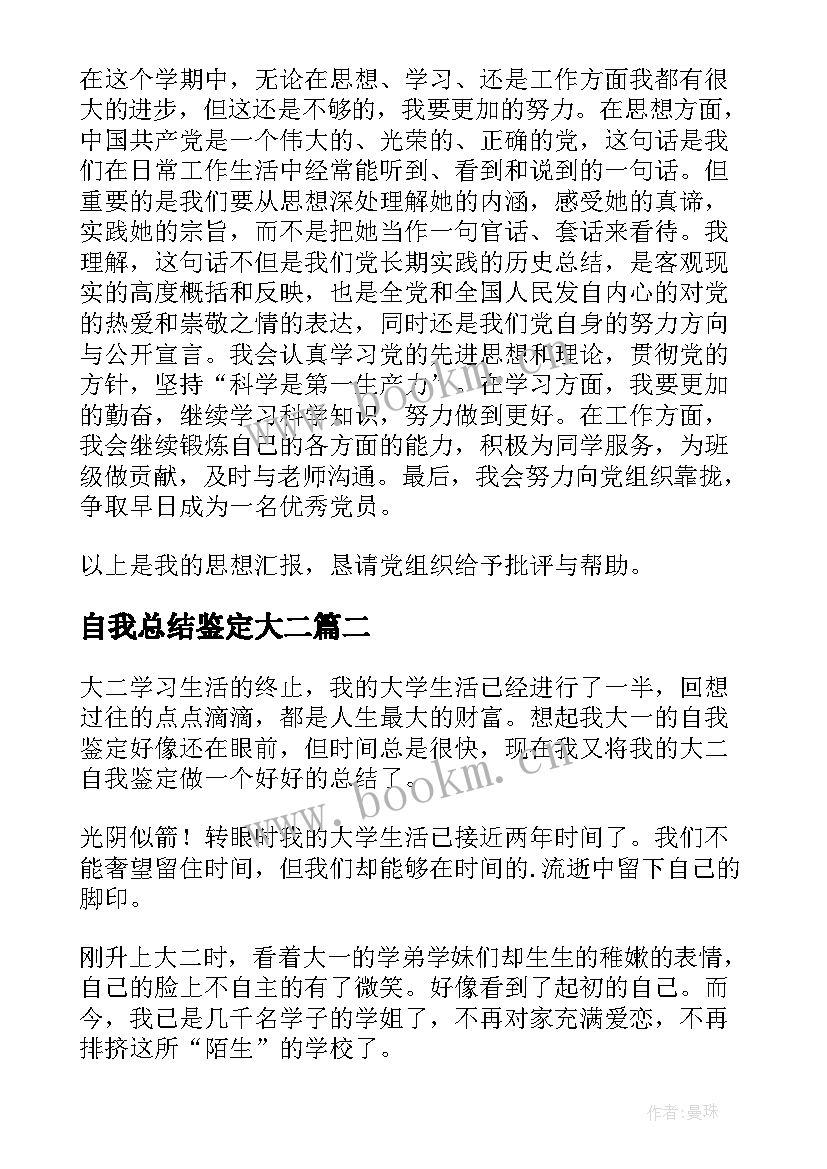 2023年自我总结鉴定大二(大全5篇)