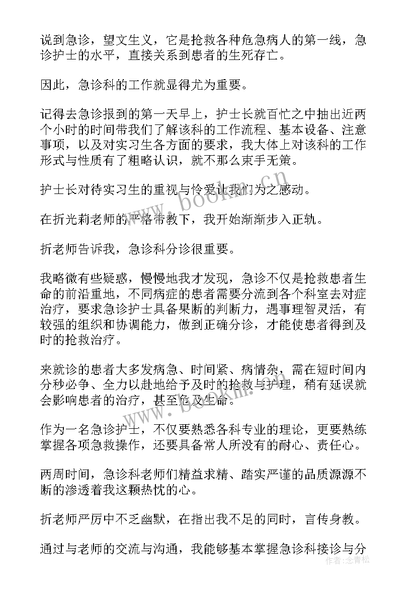 急诊护士自我评价(汇总5篇)